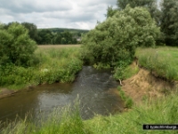 cottessen-14