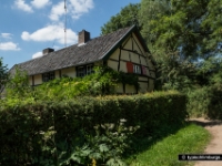 cottessen-25