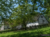 cottessen-34