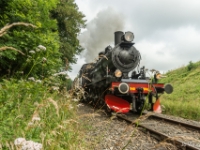 Stoomtreindagen 2016 Simpelveld  Stoomtreindagen 2016 Simpelveld