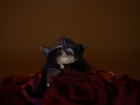 DSC5326